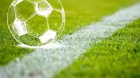 《愤怒激情！尼斯球迷爆发冲突，球场内上演激烈对抗，球员与总监遭遇暴力冲击》