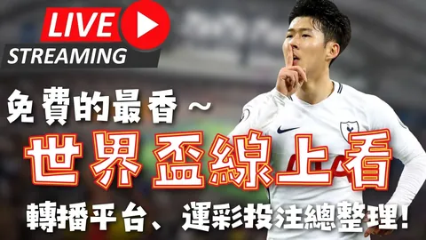 “总统连任后辞职，总理接任”